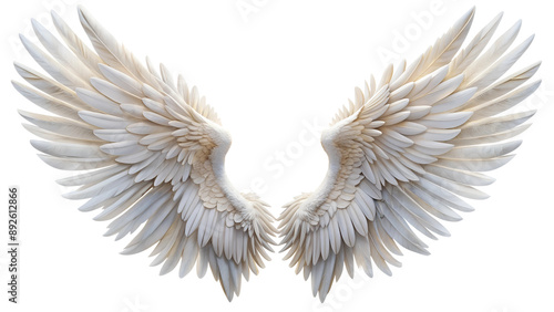 Wallpaper Mural Wings. PNG Torontodigital.ca