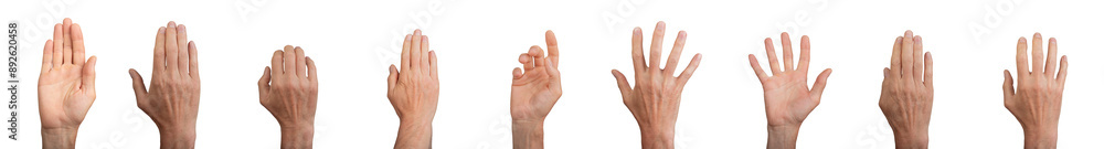Hand gestures, palms set isolated on white background. Hand gestures, palms set isolated on white background.