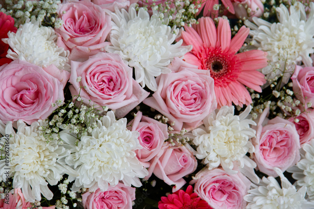 Close-up shot of pink and white flowers for valentine's day. Symbol of love. Cute flowers background for love. Close-up shot of pink and white flowers for valentine's day. Symbol of love. Cute flowers background for love.