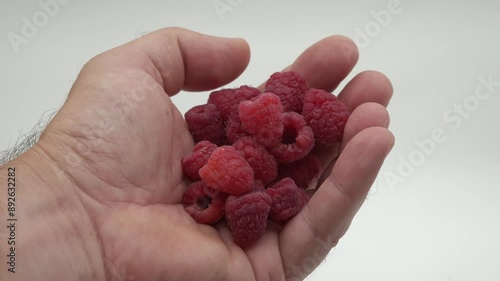 Holding ripe red respberries photo