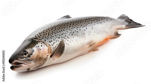 Isolated raw salmon in mid-fall on a white background, highlighting its freshness and detailed scales