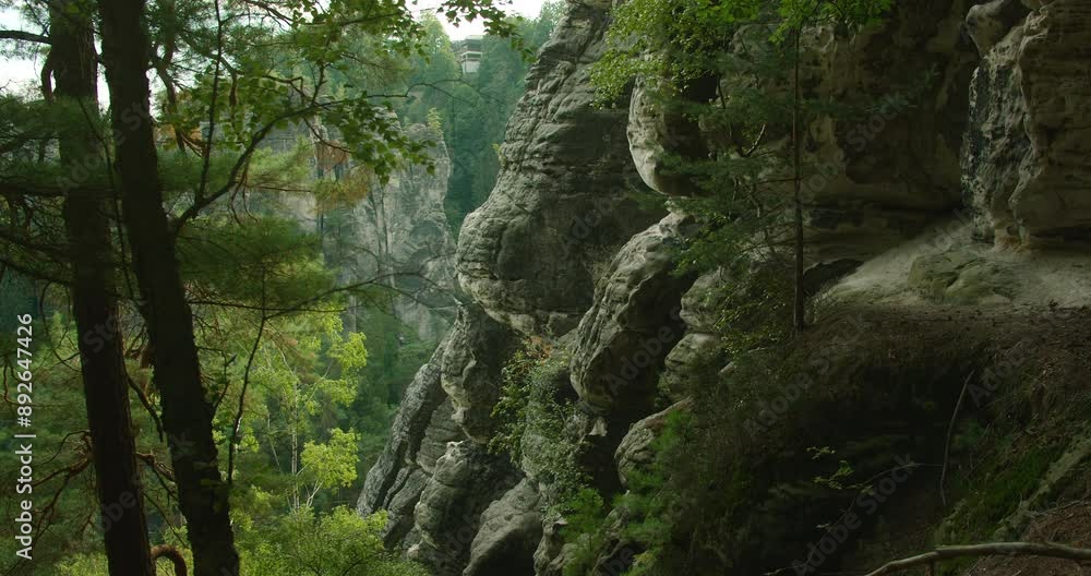 A rugged cliffside with dense forest and rocks in summer day in Elbe Sandstone Mountains of Germany A rugged cliffside with dense forest and rocks in summer day in Elbe Sandstone Mountains of Germany