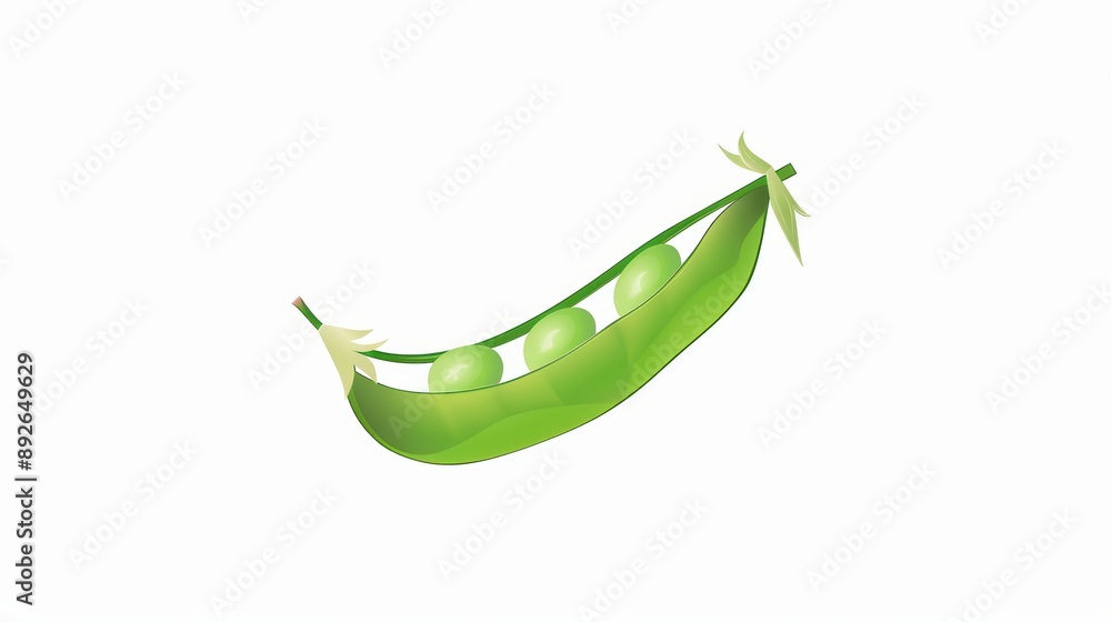 A simple illustration of a pea, with only one in the center of the picture, is a symbol of art. Dynamic on a clean white background. A simple illustration of a pea, with only one in the center of the picture, is a symbol of art. Dynamic on a clean white background.