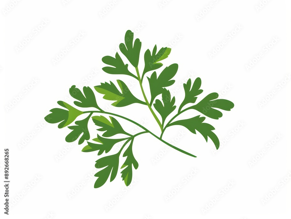 Fototapeta premium A simple illustration of a single parsley in the center is a symbol of art. Dynamic on a clean white background.