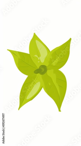 A simple illustration of a star fruit, with only one in the center of the image, which is a symbol of art. Dynamic on a clean white background. photo