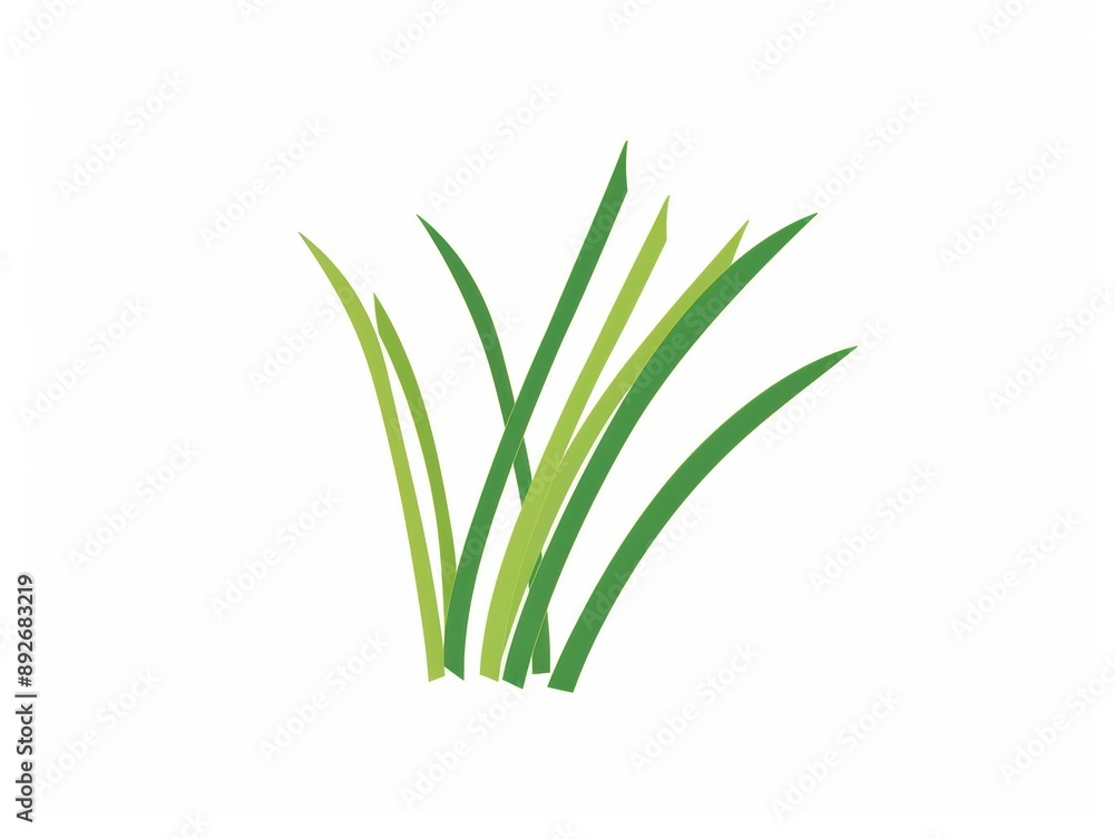 A simple illustration of lemon grass, with only one in the center of the image, is a symbol of art. Dynamic on a clean white background.