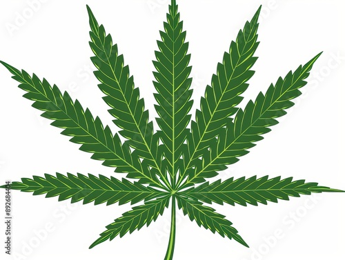 A simple illustration of marijuana, with only one marijuana in the center, is a symbol of art. Dynamic on a clean white background. photo