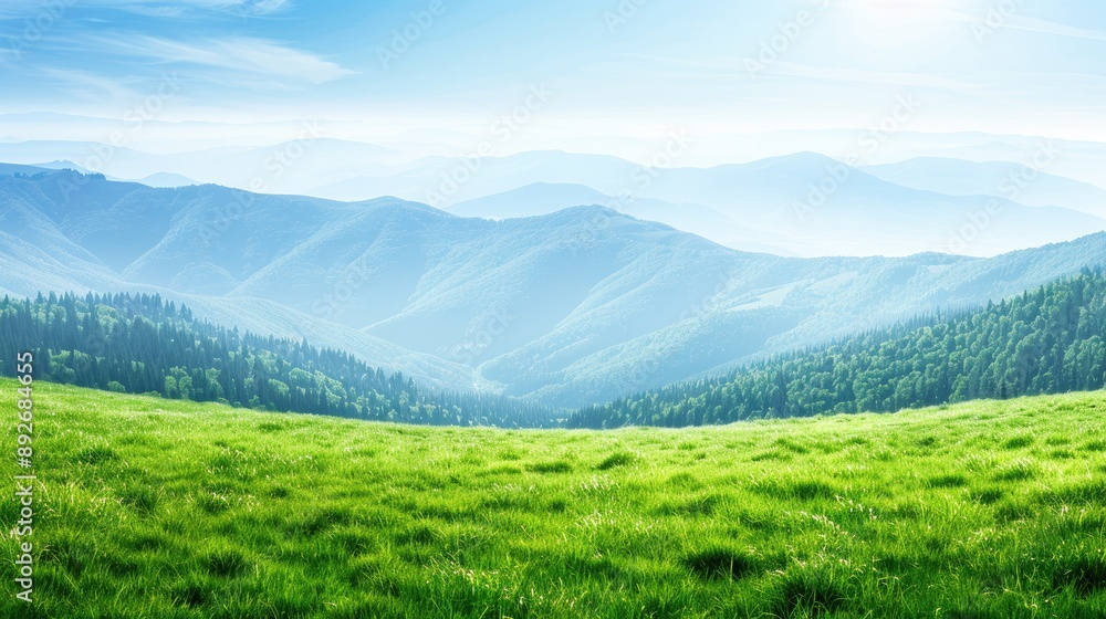 Fototapeta premium A green valley in summer, with lush trees, green trees and clear blue skies creating a tranquil environment.