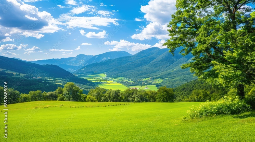 Fototapeta premium A green valley in summer, with lush trees, green trees and clear blue skies creating a tranquil environment.