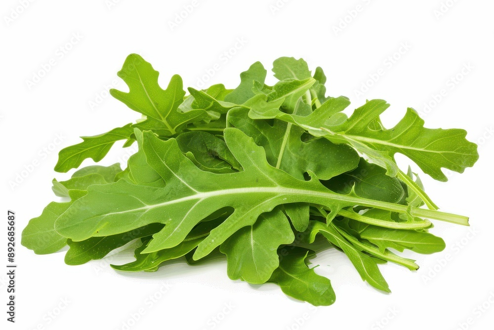 Tender leaves of rocket lettuce against a white backdrop Tender leaves of rocket lettuce against a white backdrop