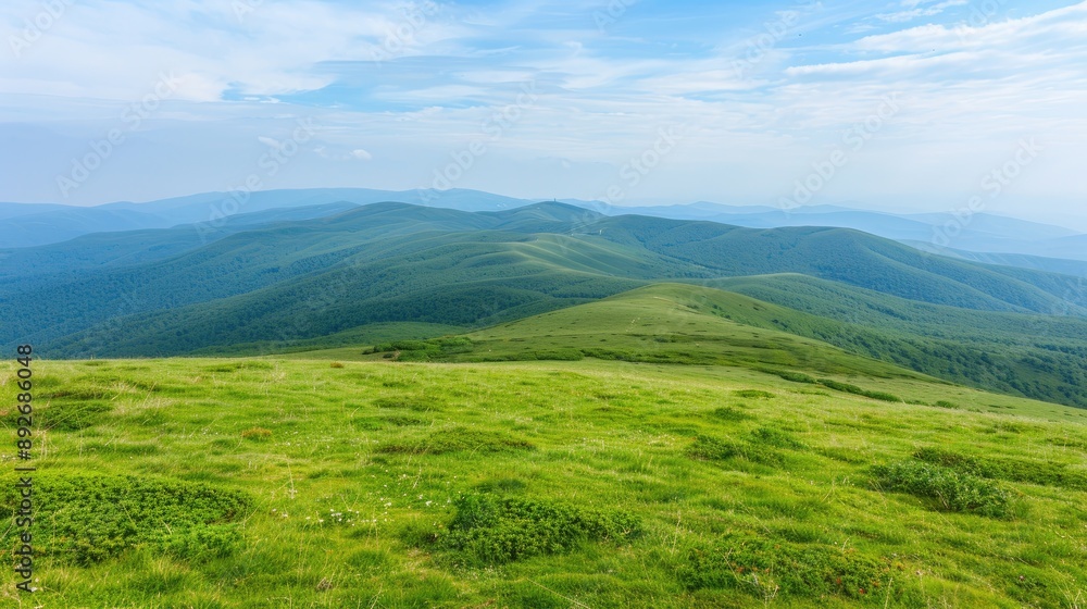 A green valley in summer, with lush trees, green trees and clear blue skies creating a tranquil environment. A green valley in summer, with lush trees, green trees and clear blue skies creating a tranquil environment.