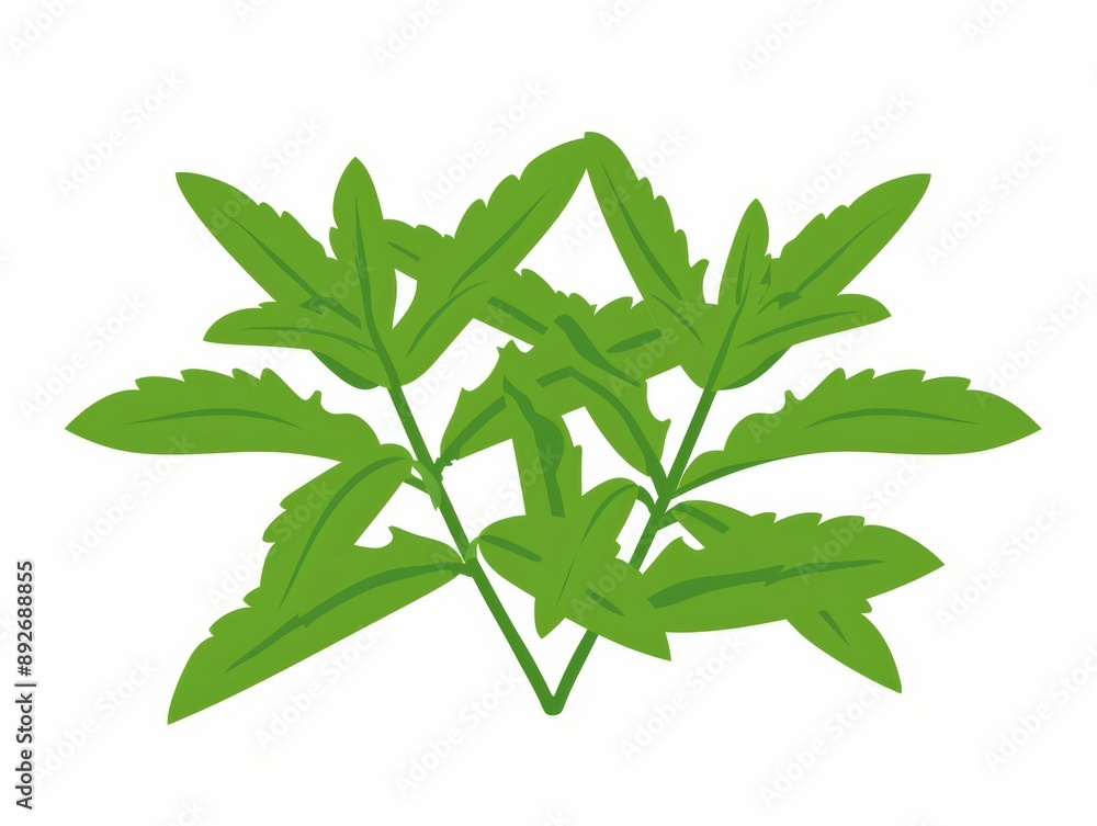 A simple illustration of Stevia, with only one in the center, is a symbol of art. Dynamic on a clean white background. A simple illustration of Stevia, with only one in the center, is a symbol of art. Dynamic on a clean white background.
