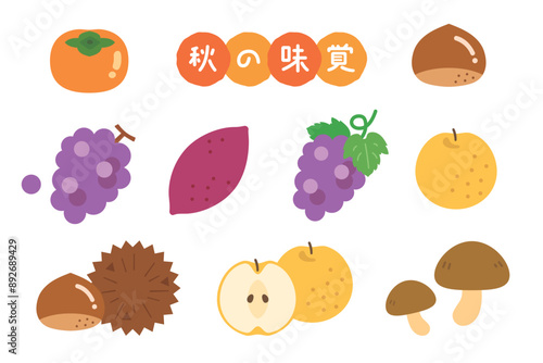 秋の味覚のイラストセット　果物