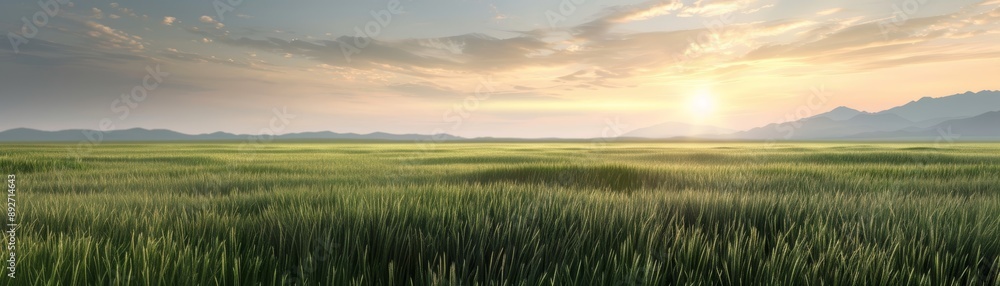Scenic view of a grassy field under a bright sunrise, with mountains in the background and clouds in the sky. Scenic view of a grassy field under a bright sunrise, with mountains in the background and clouds in the sky.