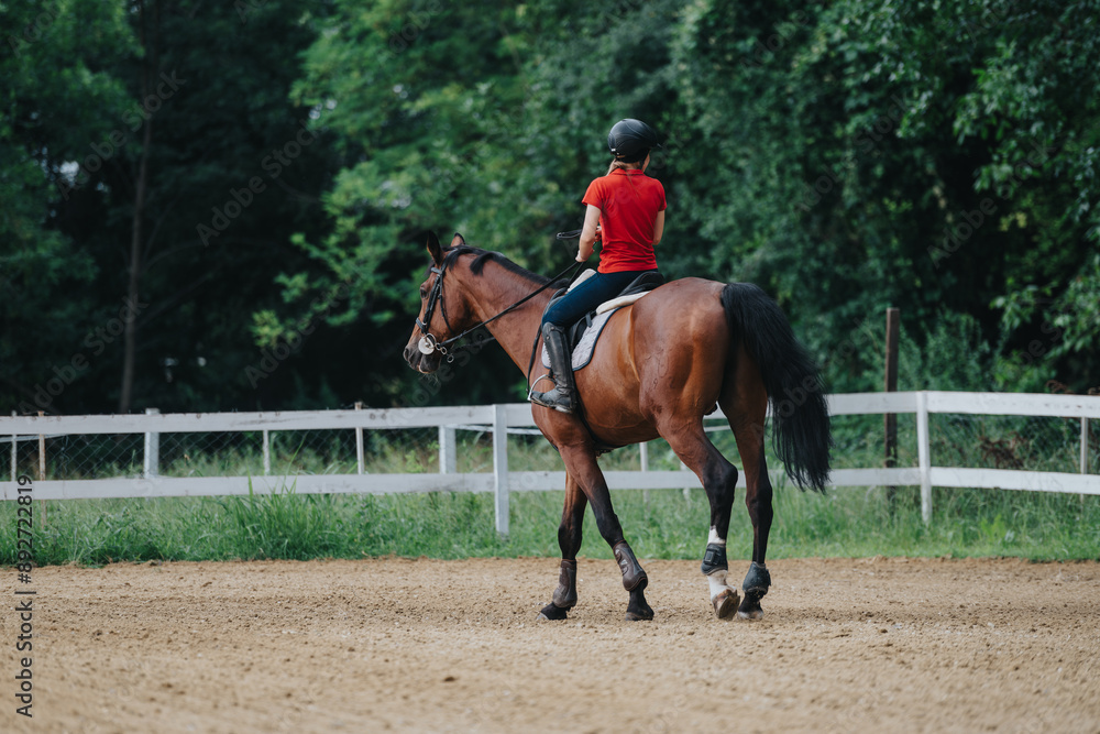 Equestrian rider training on a brown horse in an outdoor arena, showcasing horseback riding skills and sport equestrianism. Equestrian rider training on a brown horse in an outdoor arena, showcasing horseback riding skills and sport equestrianism.