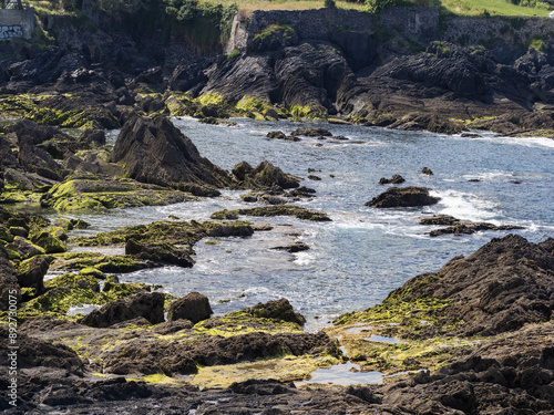 bello paisaje del mar con muchas rocas. paisaje verde
