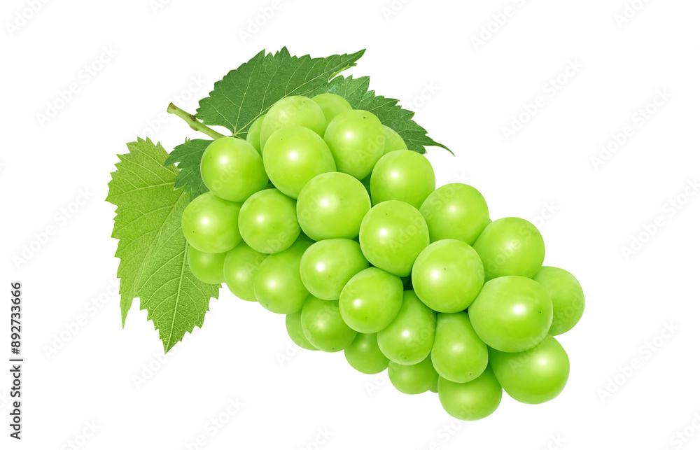 Obraz premium シャインマスカットのイラスト マスカット リアル