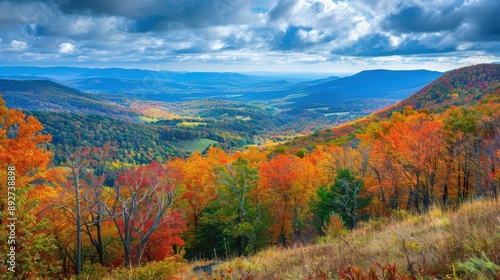 Autumn Panorama: Stunning Scenic Overlook of Valley Blanketed in Vibrant Fall Foliage