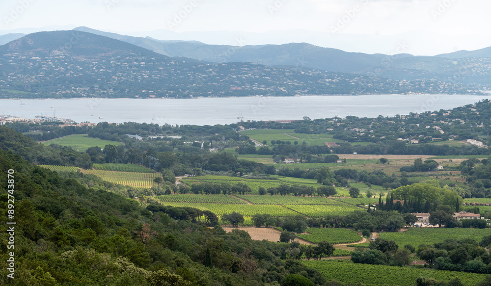 Landscape of French Riviera, view on hills, houses and green vineyards from above Cotes de Provence, production of rose wine near Saint-Tropez and Pampelonne beach, Var, France Landscape of French Riviera, view on hills, houses and green vineyards from above Cotes de Provence, production of rose wine near Saint-Tropez and Pampelonne beach, Var, France