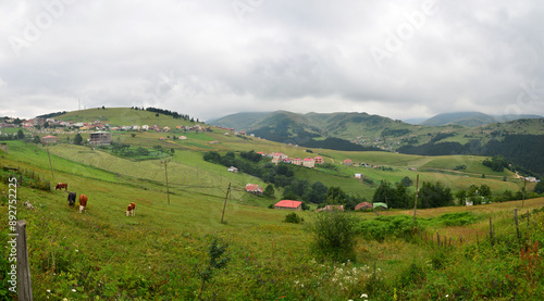 A view from Kumbet Plateau in Giresun city in Turkey photo