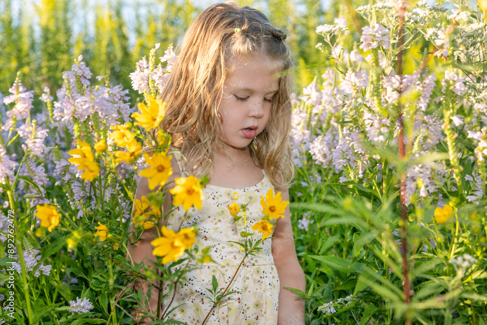 Little girl in the Tickseed Sunflower (Bearded Beggarticks) fields Little girl in the Tickseed Sunflower (Bearded Beggarticks) fields