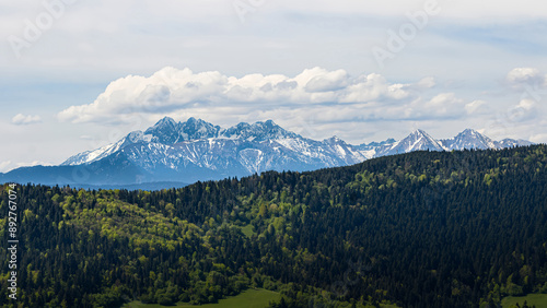 Fototapeta Naklejka Na Ścianę i Meble -  mountains in the morning
