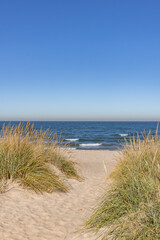 Fototapete Dünen Sandweg zum Lake Michigan in Indiana  © Colin
