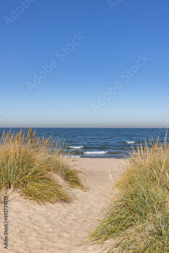 Fototapeta Naklejka Na Ścianę i Meble -  pathway to Lake Michigan at Indiana Dunes National Park, NPS