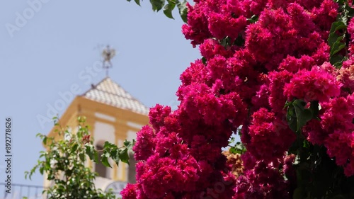 flowers in the city