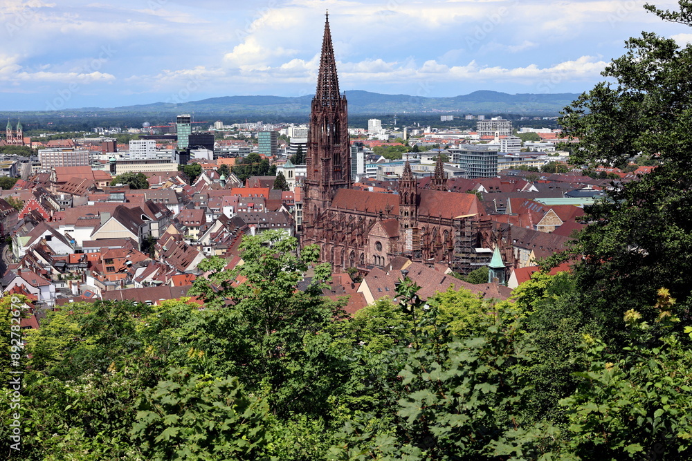 Blick aufs Freiburger Münster im Sommer