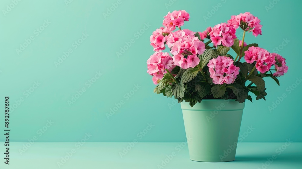 Pink flowers in green pot on mint background with room for text Pink flowers in green pot on mint background with room for text