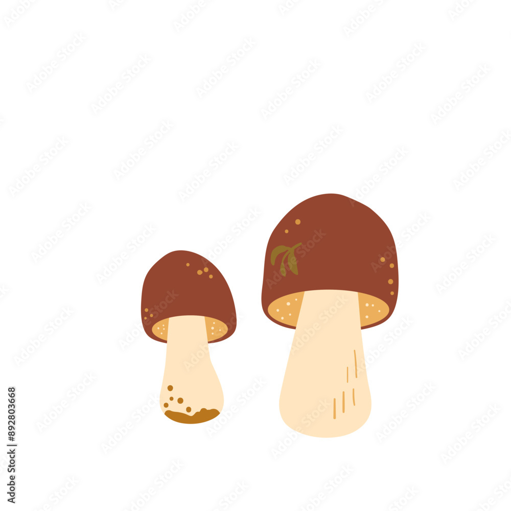 Fototapeta premium White fungus isolated on white background. Edible mushrooms Vector hand drawn illustration