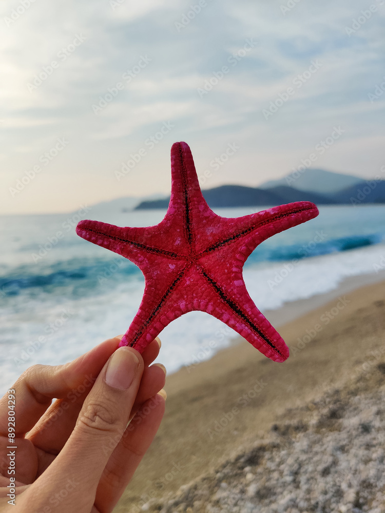 holding a starfish on hand with a view of the sea and the beach holding a starfish on hand with a view of the sea and the beach