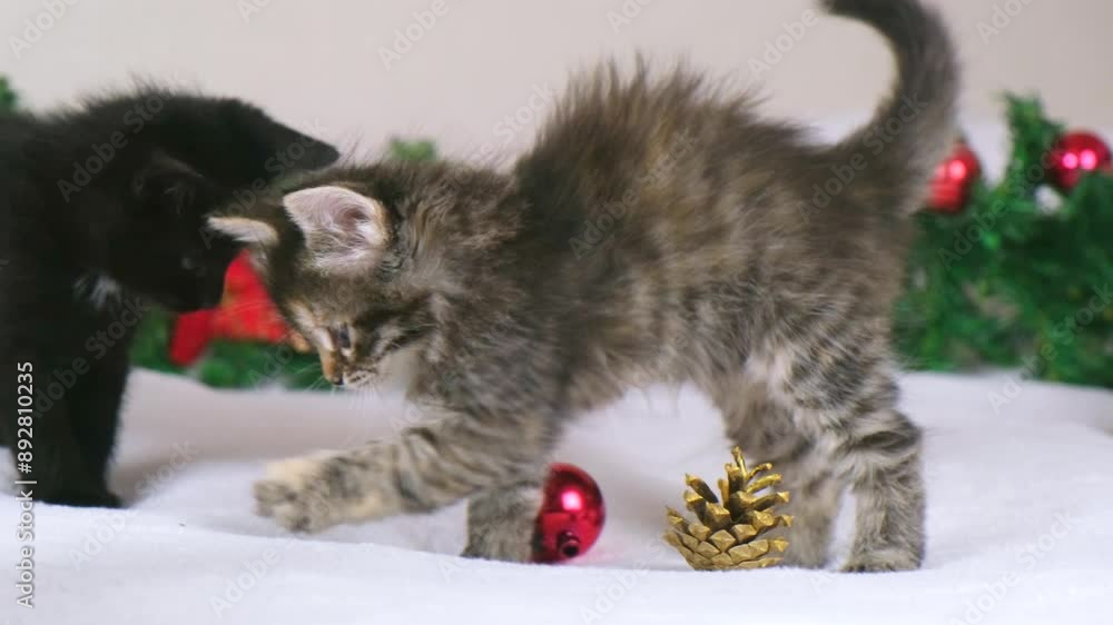 Playful kittens having fun with christmas decoration