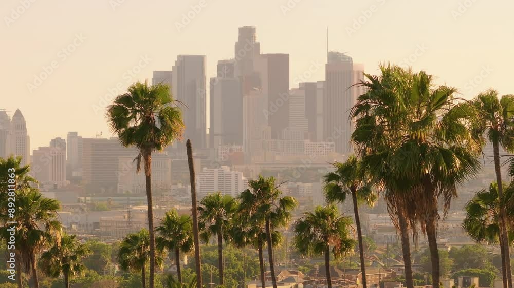 Capture the picturesque image of Downtown Los Angeles, California, USA, with palm trees in the foreground and the iconic city skyline in the backdrop at sunset, showcasing a metropolitan landscape
