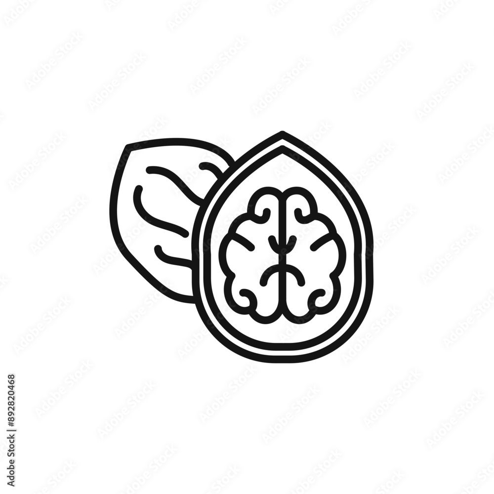 Walnut icon outline collection in black and on white background Walnut icon outline collection in black and on white background