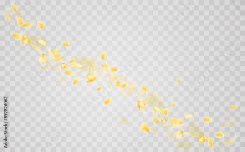 Yellow falling rose or sunflowers petals.Transparent panoramic horizontal background.Amber flower spring template.