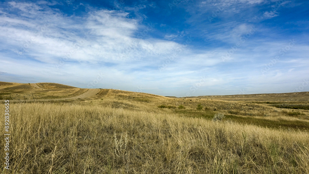A view of rolling hills in a badlands setting under a blue sky with white clouds. A dirt road winds up and over the hills.
A view of rolling hills in a badlands setting under a blue sky with white clouds. A dirt road winds up and over the hills.
