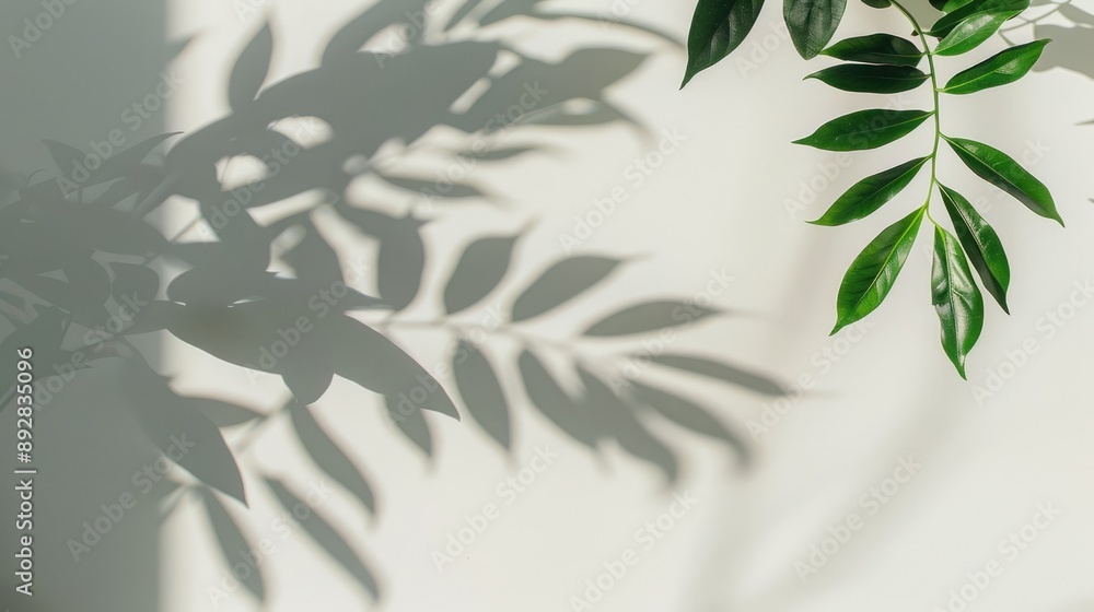 Natural shadow on white background for product presentation and mockup Natural shadow on white background for product presentation and mockup