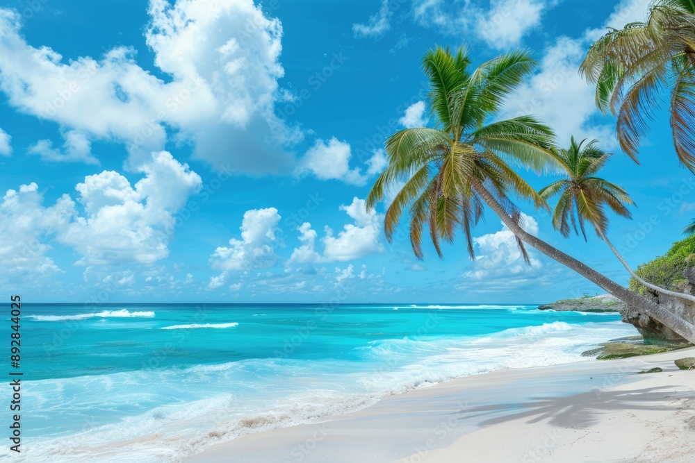 Barbados Beach - Bottom Bay Paradise on the Caribbean Island. Tropical Coast with Palms Hanging Over Turquoise Sea Barbados Beach - Bottom Bay Paradise on the Caribbean Island. Tropical Coast with Palms Hanging Over Turquoise Sea