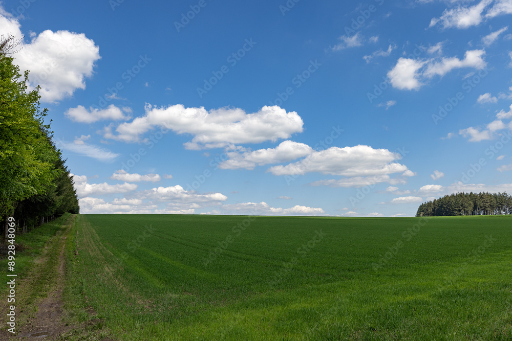 Serene green field stretching under a cloudy blue sky. Serene green field stretching under a cloudy blue sky.