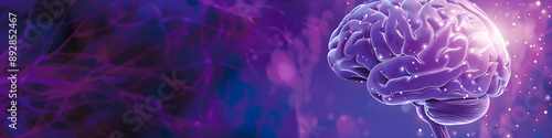 3d render of human brain on violet background. Biological banner with copy space. Concept for IQ, imagination, mental health. Prevention of brain diseases. World Alzheimer’s Month. Medical education.
