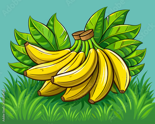 illustration Vector of fresh banana, green tropical field with grass background, hand drawn vegetabes and fruit cartoon photo