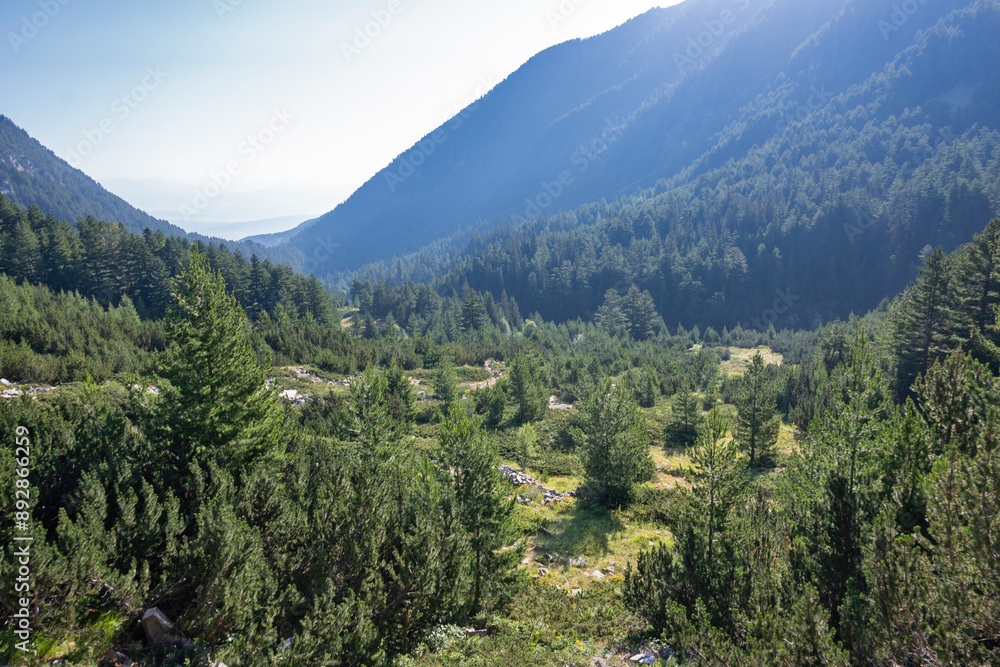 Obraz premium Pirin Mountain around Banderitsa River, Bulgaria
