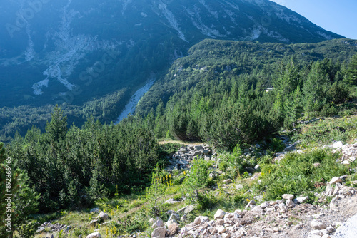 Pirin Mountain around Banderitsa River, Bulgaria photo