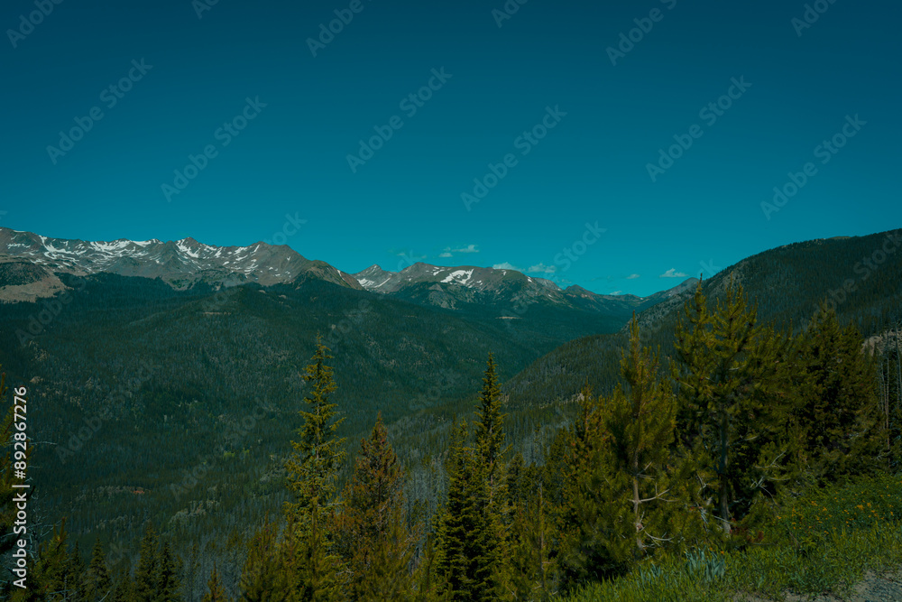 Fototapeta premium Mountains Pine Forest