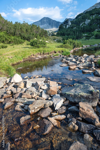 Pirin Mountain around Banderitsa River, Bulgaria photo