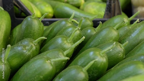 Caroselli cucumbers, also known as caroselli, displayed at a southern Italian market, emphasizing their role in regional dishes and the rich agricultural heritage of the area photo