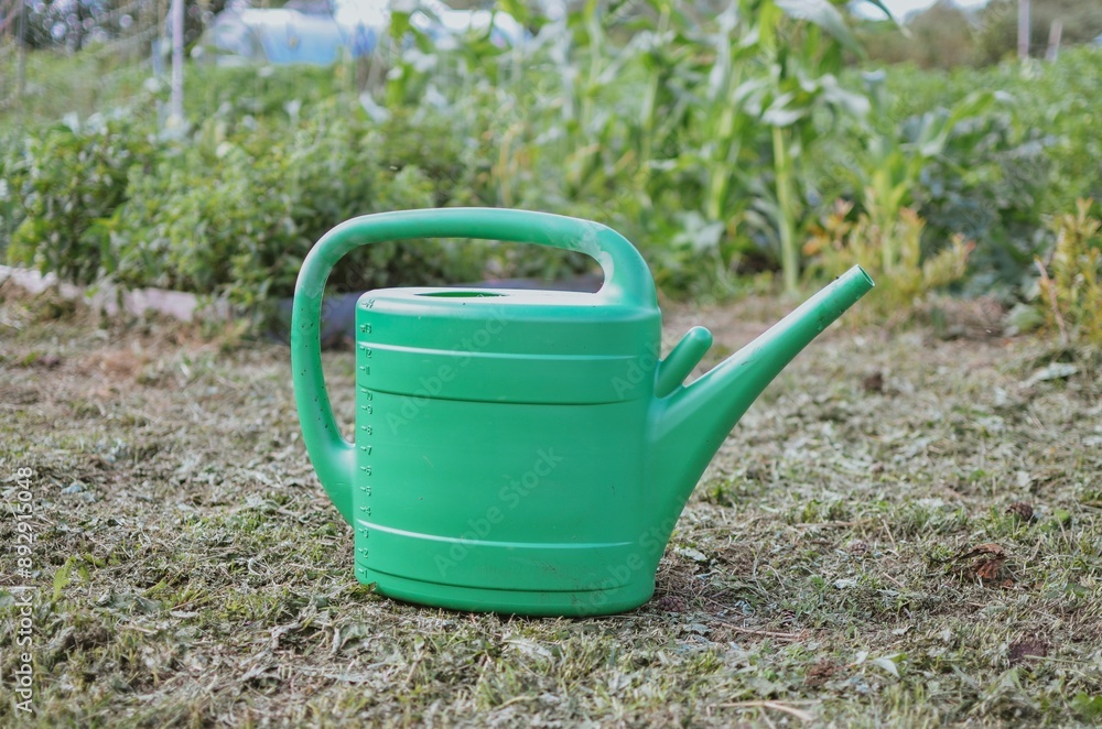 Green watering can for watering plants in the garden and greenhouse Green watering can for watering plants in the garden and greenhouse