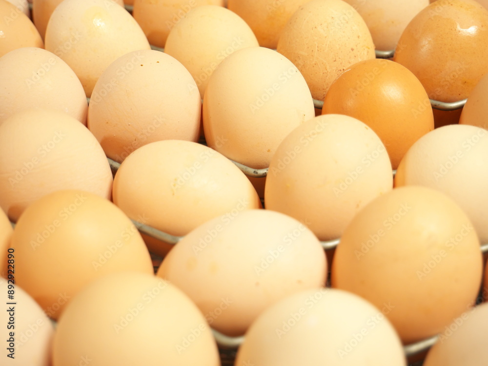 Photo of chicken egg production in factories. Photo of chicken egg production in factories.